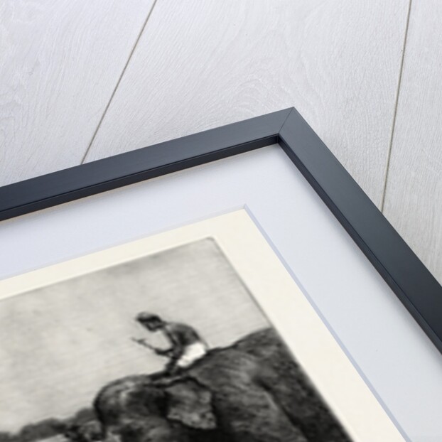 Elephants in India, the Morning Bath Before Breakfast by Anonymous