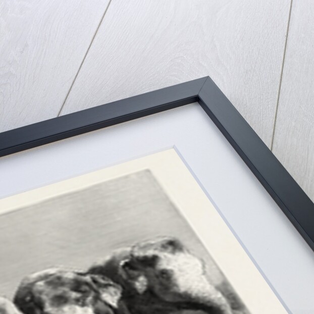 Elephants in India, Breakfast Waiting for the Word Feed by Anonymous