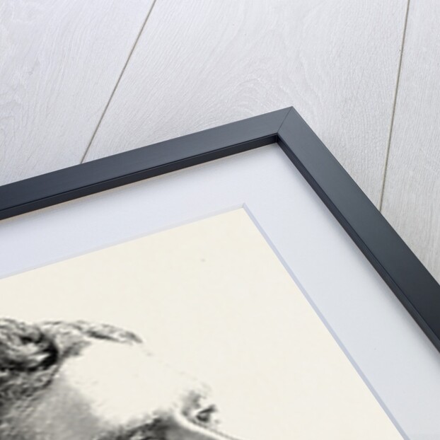 Mr. Matt Morgan by Anonymous