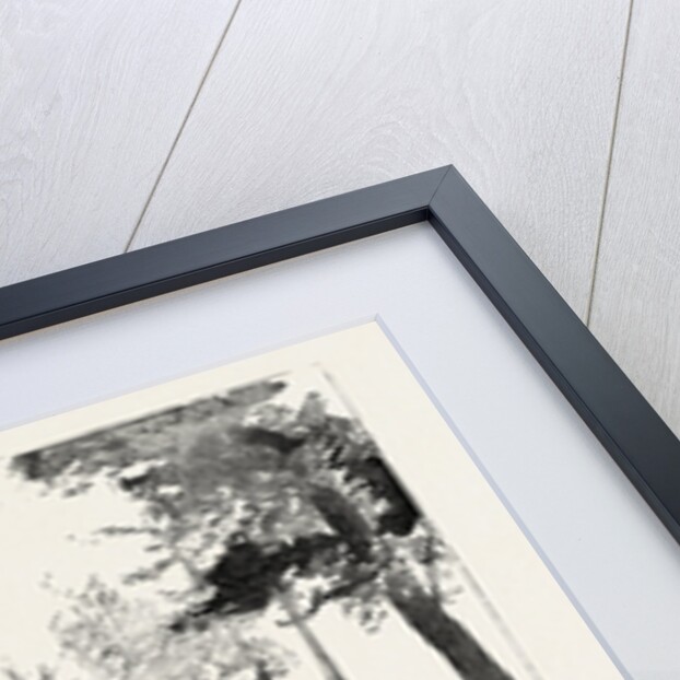 The Anniversary of the Battle of Waterloo, the Statue at Quatre Bras, Belgium by Anonymous