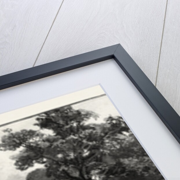 Central Africa, Kavala Island on Lake Tanganyika by Anonymous