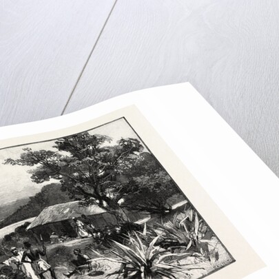 Central Africa, Kavala Island on Lake Tanganyika by Anonymous