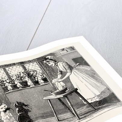 Cats and Mice by Anonymous