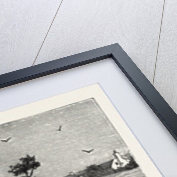 Reading Cats by Anonymous