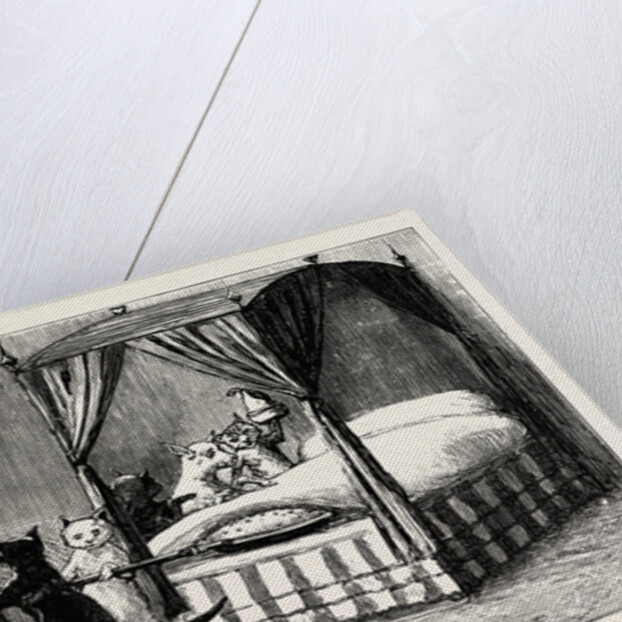 The Dame Was Unabe Her Pleasure to Smother. Cats Heating the Bed by Anonymous