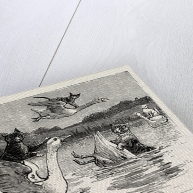 To Show Them His Poultry, He Turned Them All Loose, When Each Nimbly Leaped on the Back of a Goose, which Frightened Them So, that They Ran to the Sea, and Half-Drowned the Cats of Dame Wiggins of Lee by Anonymous