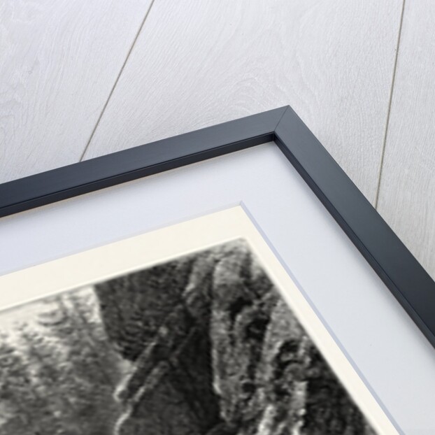 Falls of the Aar at Handeck, Switzerland by Anonymous