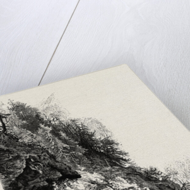 On the Tete Noir by Anonymous