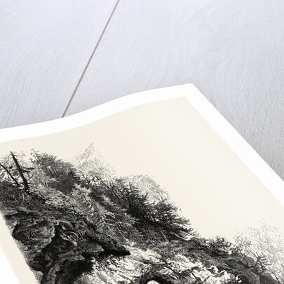 On the Tete Noir by Anonymous