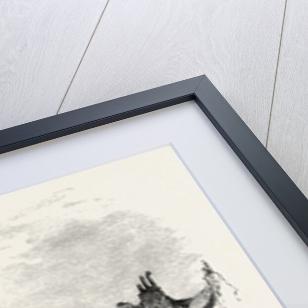 Old Houses at Dol or Dol-De-Bretagne, Normandy and Brittany, France by Anonymous