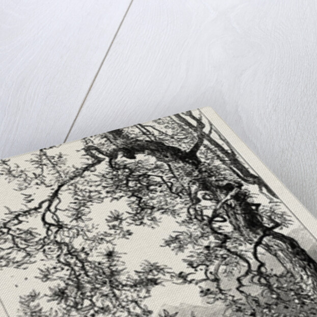 Torno, Lago Di Como, Lario, the Italian Lakes, Italy by Anonymous