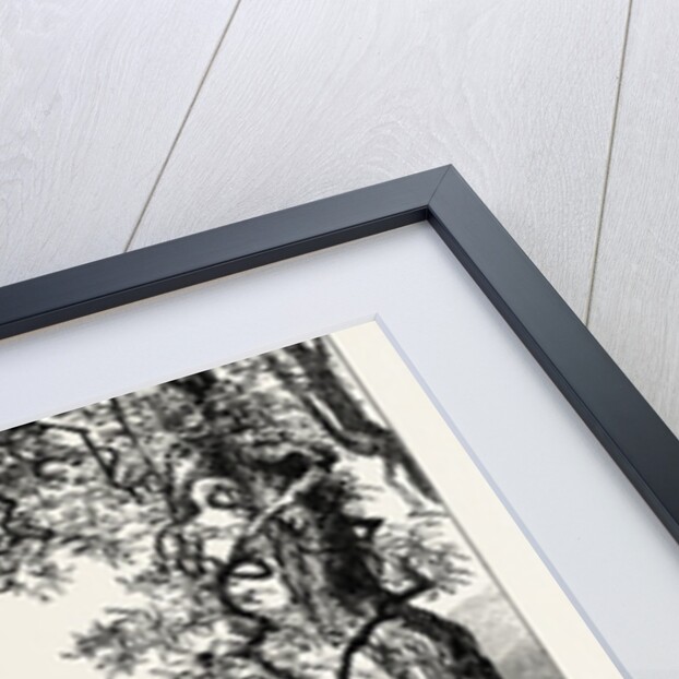 Torno, Lago Di Como, Lario, the Italian Lakes, Italy by Anonymous