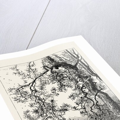 Torno, Lago Di Como, Lario, the Italian Lakes, Italy by Anonymous