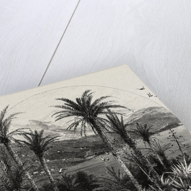 At Monte Carlo, Monaco, the Cornice Road by Anonymous