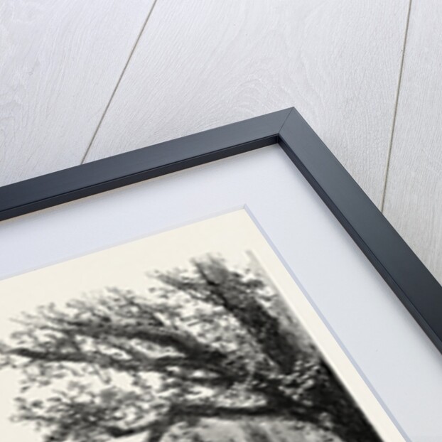 Ventimiglia, from the Cornice Road., Liguria, Italy by Anonymous