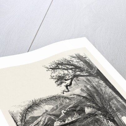 Ventimiglia, from the Cornice Road., Liguria, Italy by Anonymous