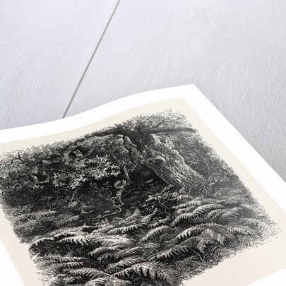 At Bas Breau, Bas-Breau, the Forest of Fontainebleau, France by Anonymous