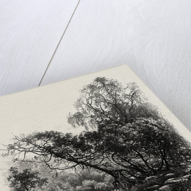 A Forest Path at Franchard, the Forest of Fontainebleau, France by Anonymous