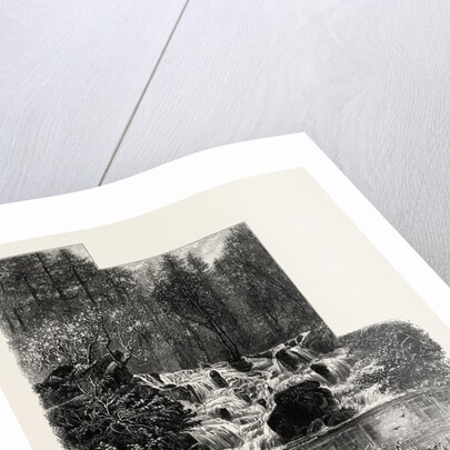 The Cascade, Virginia Water, Windsor by Anonymous