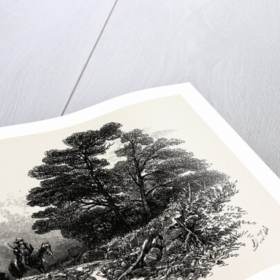 Mountain Path Near Capel Curig, North Wales by Anonymous