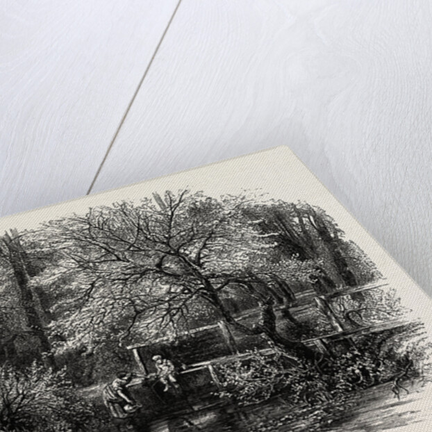 Markeaton Brook, the Dales of Derbyshire, Country by Anonymous
