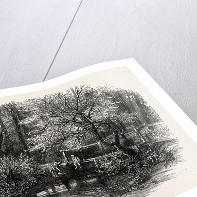 Markeaton Brook, the Dales of Derbyshire, Country by Anonymous