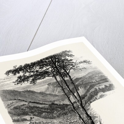 The Vale of Cromford and Matlock, from the Black Rocks, the Dales of Derbyshire, Country by Anonymous
