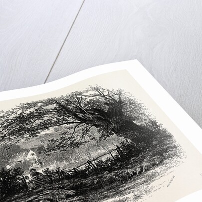 In Depedale, the Dales of Derbyshire by Anonymous