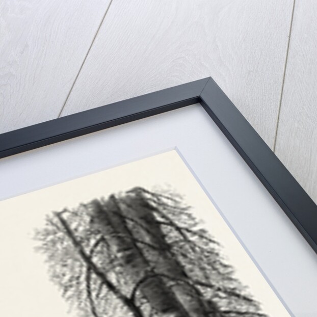 In the New Forest, Near Lyndhurst, the Forest Scenery of Great Britain by Anonymous