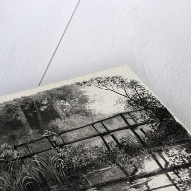 Near Godalming, the Forest Scenery of Great Britain by Anonymous