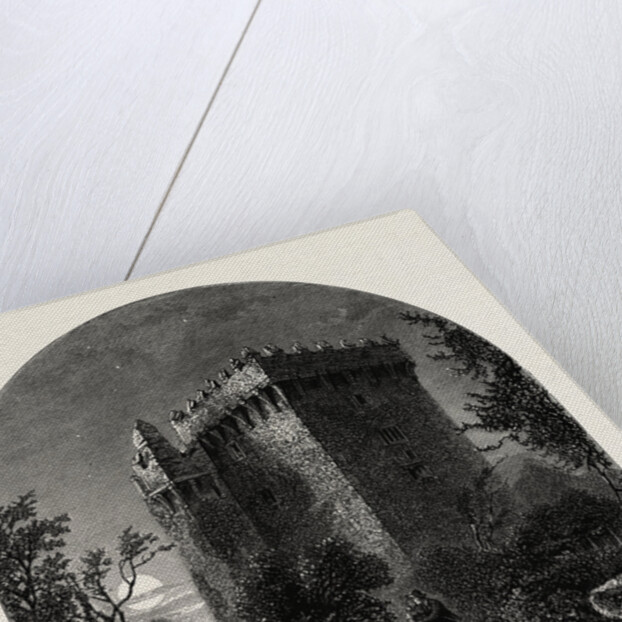 Blarney Castle, Ireland, Irish, Eire by Anonymous