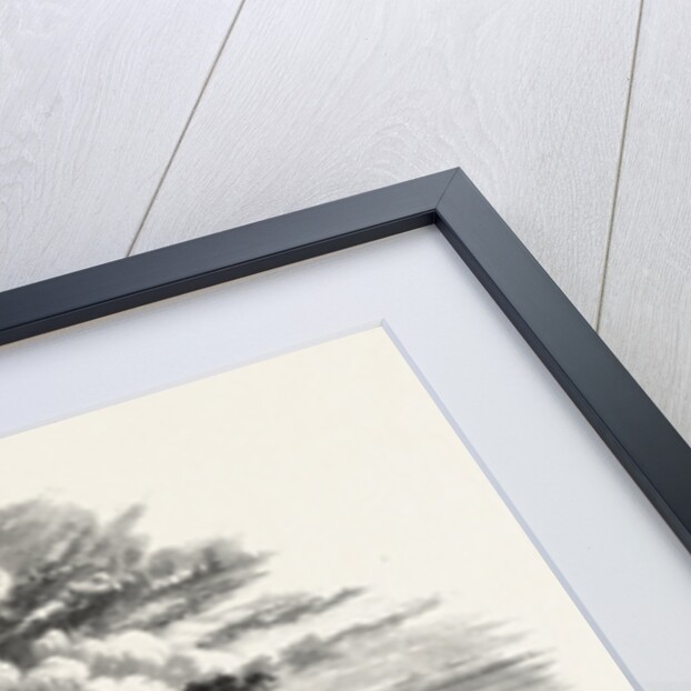 A Gala Day at Hampton Court, Scenery of the Thames by Anonymous