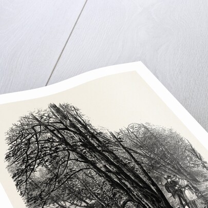 In Cliefden Woods, Scenery of the Thames by Anonymous