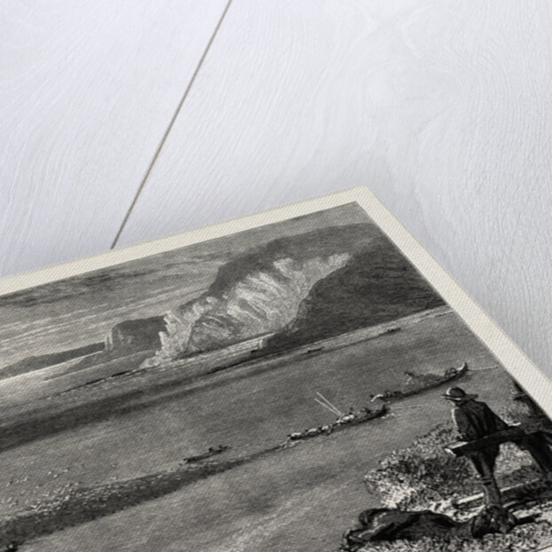 Pilchard Fishing of the Lizard, the South Coast by Anonymous