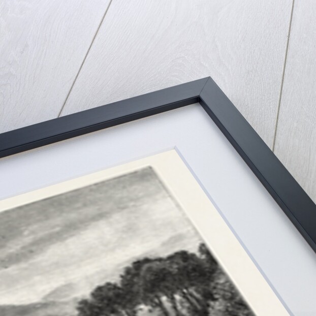 The Bosphorus, from Therapia, Constantinople, Istanbul, Turkey by Anonymous