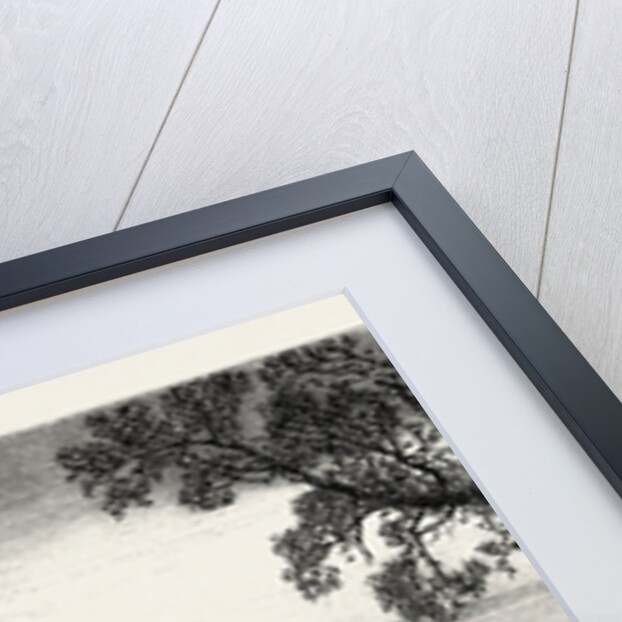 On Lake Malar, Sweden by Anonymous