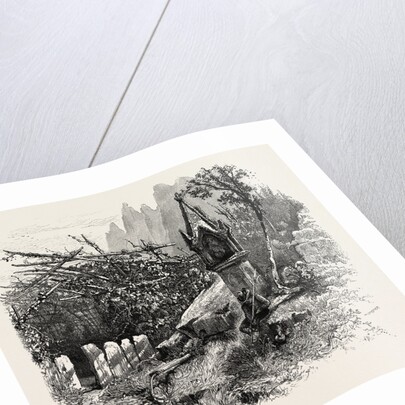 Vineyard Watchman, Botzen, Italy by Anonymous