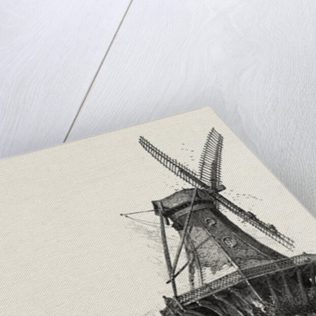The Windmill, Potsdam, Germany by Anonymous