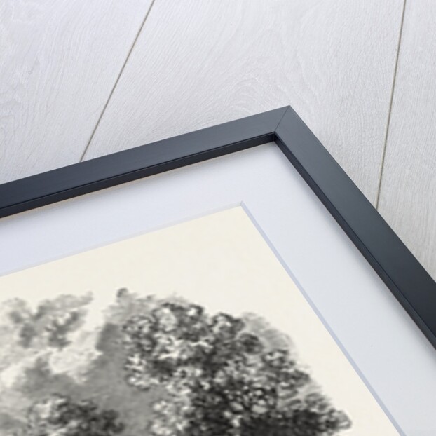 Old Dutch House, Long Island, New York by Anonymous