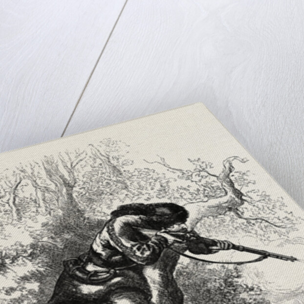 American Marksman Up a Tree by Anonymous
