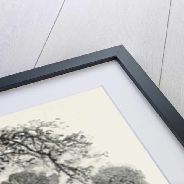 View in Chester Square, Boston by Anonymous