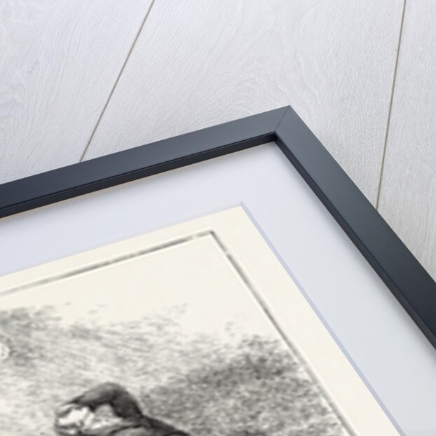 Duel Between Burr and Hamilton by Anonymous