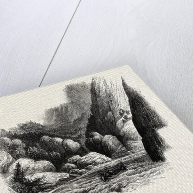 Rapids of Labrador, Canada by Anonymous