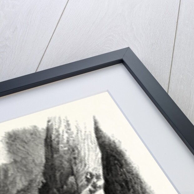 Rapids of Labrador, Canada by Anonymous