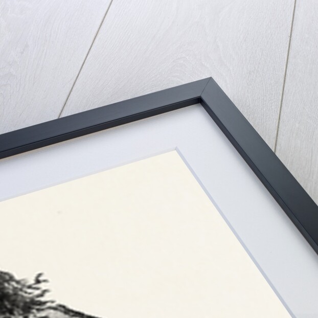 North American Indian by Anonymous