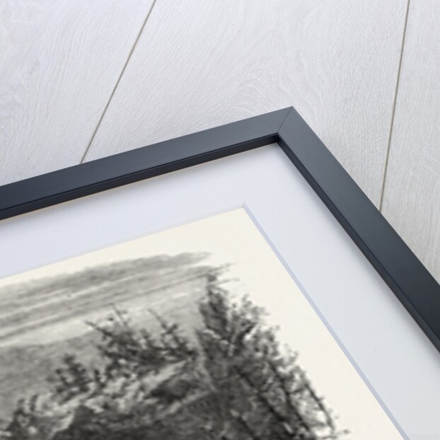 Falls of the Potomac by Anonymous