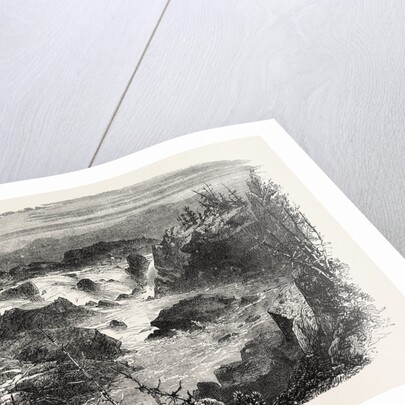 Falls of the Potomac by Anonymous