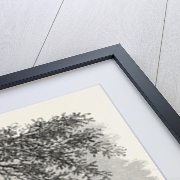 View in Hartford, Connecticut by Anonymous