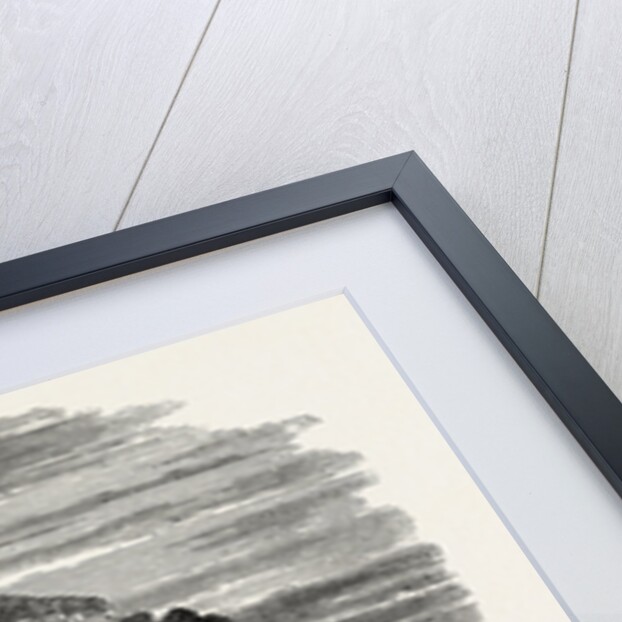 Indian Burial Ground by Anonymous