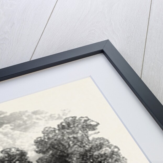 Yale College by Anonymous